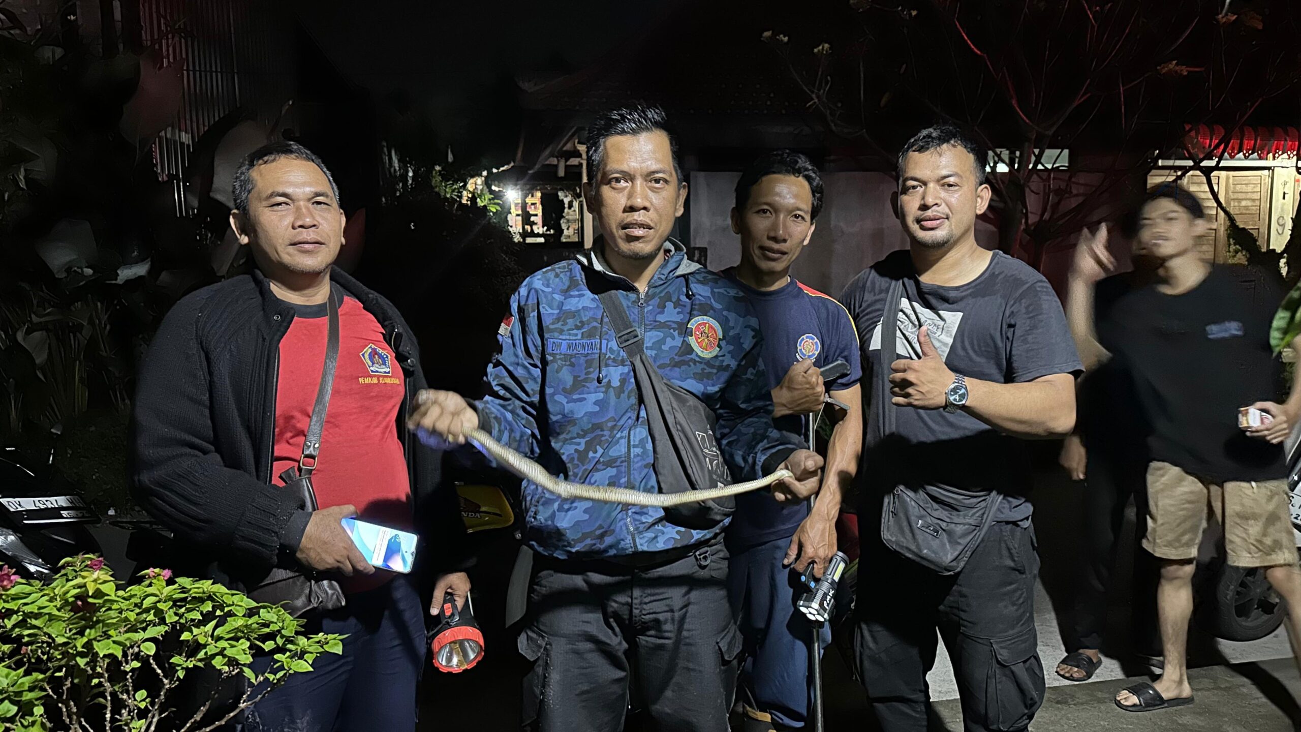 Damkar Taklukan Ular Berbisa Demi Selamatkan Warga